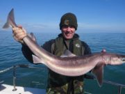 Plenty of good fishing reported by Wicklow charter boat anglers