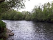 April slow on the Laune but salmon to 18lb caught