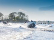 Lough Ree is piker’s heaven for World Cup winners