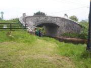 Junior pikers have great day with Newbridge Anglers in All Ireland qualifier