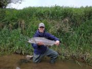 A few good salmon caught and released on the Blackwater