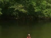 Better than expected fishing for Fermoy Festival