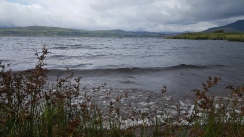 Lough Currane 
