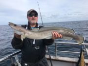Offshore reefs fishing well from Courtmacsherry