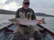 Good salmon fishing on Carrowmore continues despite low water elvels