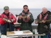 Killala Bay fishing well
