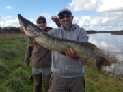 Good pike fishing reported from Shannonbridge area