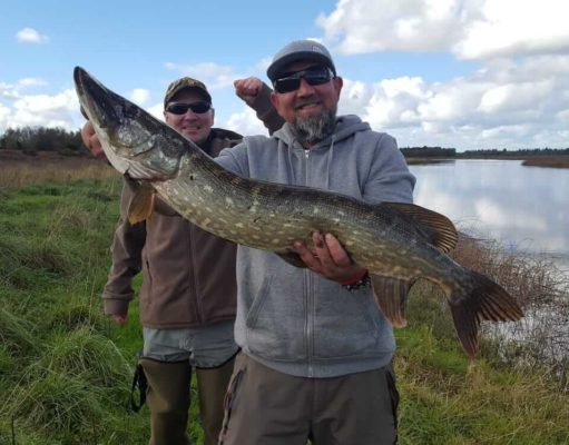 Good pike fishing reported from Shannonbridge area