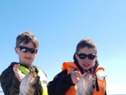 Great pollacking for young anglers from Cobh