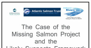 Case of the Missing Salmon Project