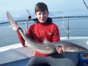 Spurdog to 17lb on Galway Bay for young Liam