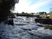 Good fishing marks opening week at Ballisodare
