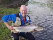 A Few Nice Salmon on the River Nore