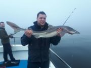 Big huss and specimen spurdog on Galway Bay for Dublin anglers