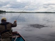Irish Angling Update – 07 June 2019