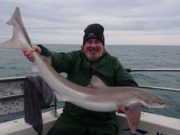 Wicklow Boat Charters record good numbers of Specimen Fish