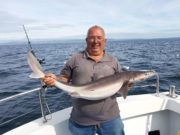 Cracking fishing on Galway bay over the last week