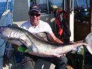 Porbeagles and blues for charter anglers out of Kilmore Quay