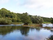 Fish Running Through due to Water Levels on the Boyne