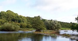 Fish Running Through due to Water Levels on the Boyne