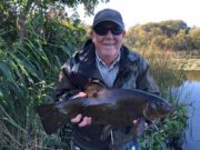 Good coarse fishing reported from Belturbet