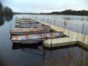 Mark Rogan wins Dick Doyle competition on Carrigavantry