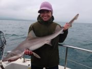 Specimen smoothhound fishing in full swing at Wicklow