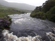 June starts with a flood and a few fish for the Erriff