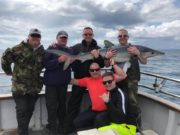 Blue shark, big conger, specimen skate and more at Courtmacsherry