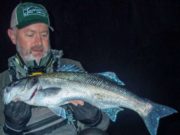 Summer bass patterns establishing themselves in West Cork
