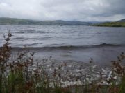 Currane gets a flood but fishing not much improved
