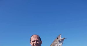 Rough weather upsets charter boat fishing off Ballycotton but weather improving