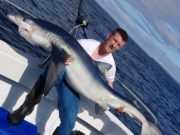 First specimen Blue Shark of the year from Galway charter