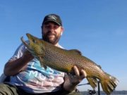 Trout to 12lb on Sheelin, 12 days left to catch your own