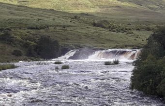 A couple of sea trout and a salmon the last Erriff catch of 2025