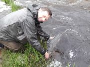 Welcome rain brought a welcome return of fish on the Erriff last week