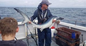 Sharking going well on Rebecca C in Ballycotton
