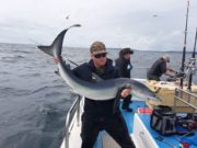 First Blues of the Year for Blue Shark Angling Galway