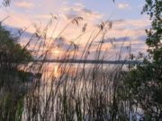 Irish Angling Update 12 October 2019