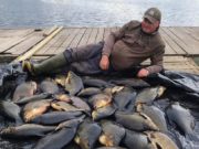 Some Great Bream Sessions in Cavan