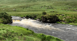 Delphi Fishery Report W/E July 24th