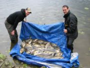 Cracking bream fishing for Melview Lodge guests in Longford