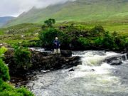 Delphi Fishery Report, July 2nd 2019