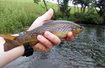 Fabulous Fishing on the Fane