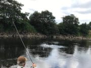 Difficult angling conditions on the Moy over the past three weeks