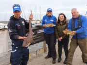 A new record for Rosslare Small Boats Festival – 34 species