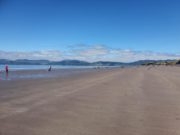 Irish Angling Update – 5 July 2019