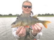 Midlands pikers report fishing tough, but good perch about
