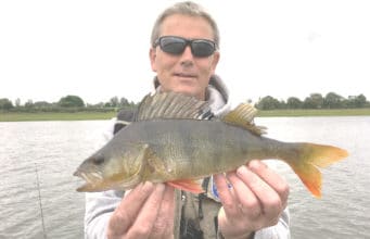 Midlands pikers report fishing tough, but good perch about