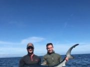 Dungarvan charter trips prducing shark and good white fish